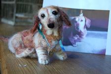 Sigfried With Photo